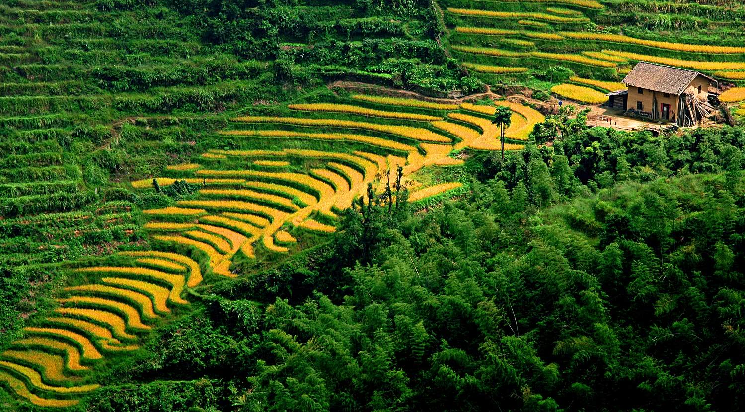 被网友封神又遭全民嫌弃这网站到底咋了？